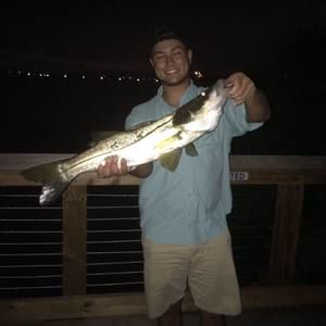 Meet your Posher, Josh